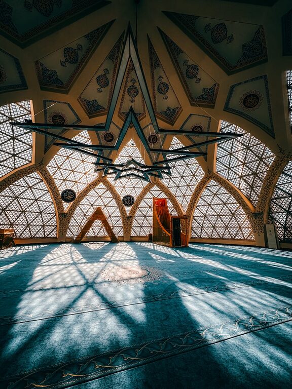 Essential Tips for Keeping Your Houseplants Healthy and Thriving